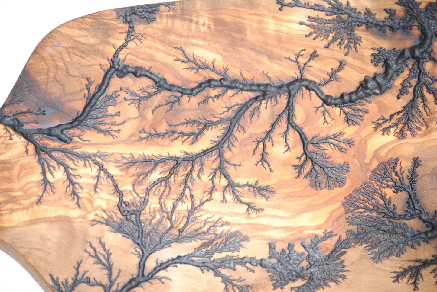 Lichtenberg fractal petite irregular cutting board